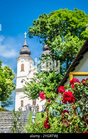 Wunderschöne Rosen blühen in der Nähe der historischen Kirche in Tihany, Ungarn an einem sonnigen Tag Stockfoto