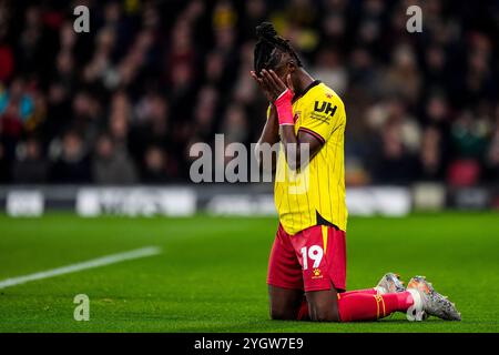 Watford, Großbritannien. November 2024. WATFORD, ENGLAND – 8. NOVEMBER: Vakoun Issouf Bayo von Watford FC verpasst am 8. November 2024 in Watford, England eine verpasste Chance beim Sky Bet Championship-Spiel zwischen Watford FC und Oxford United FC. (Foto: Rene Nijhuis/MB Media) Credit: MB Media Solutions/Alamy Live News Stockfoto