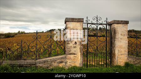 Cote d'Or, Burgund, Frankreich - 27. Oktober 2024 - Eingang und kunstvoller schmiedeeiserner Zaun zum berühmten kleinen Weinberg Le Montrachet Stockfoto