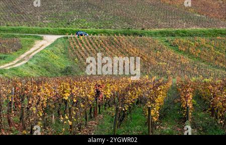 Cote d'Or, Burgund, Frankreich - 27. Oktober 2024 - kleines schwarzes Auto parkt auf einer Straße durch den Weinberg in der Ferne Stockfoto
