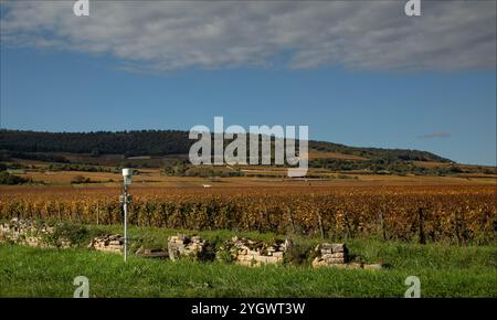 Cote d'Or, Burgund, Frankreich - 29. Oktober 2024 - Wetterstationen in den Weinbergen in der Nähe einiger Rebstöcke Stockfoto