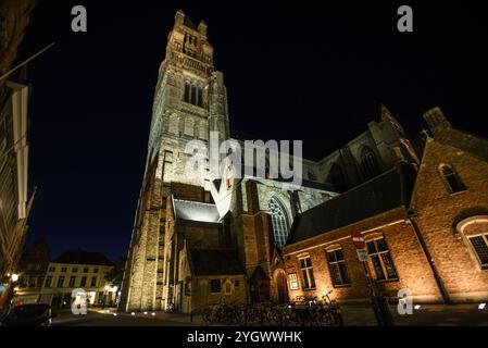 Die Kathedrale des Heiligen Salvator bei Nacht beleuchtet - Brügge, Belgien Stockfoto