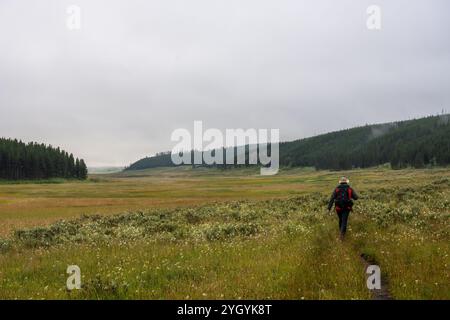 Wanderer durchquert das Hayden Valley auf dem Mary Mountain Trail im Yellowstone National Park Stockfoto