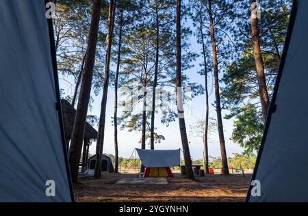 Campingplatz. Zelt im tropischen Kiefernwald bei Sonnenuntergang. Touristenzelt im Frühlingswald. Stockfoto