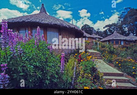 Runder, reetgedeckter Luxus-Touristenunterkunft in der Ambus Lodge in der Nähe von Tari im südlichen Hochland von Papua-Neuguinea Stockfoto