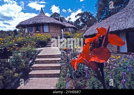 Runder, reetgedeckter Luxus-Touristenunterkunft in der Ambus Lodge in der Nähe von Tari im südlichen Hochland von Papua-Neuguinea Stockfoto