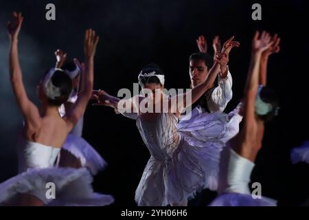 Mexiko-Stadt, Mexiko. November 2024. Die Tänzer der National Dance Company treten auf der Bühne während einer Probe der Choreografie des Schwanensees von Cuauhtémoc Nájera auf, basierend auf Marius Petipa und Lev Ivanov. Im Palacio de Bellas Artes. Am 8. November 2024 in Mexiko-Stadt. (Foto: Carlos Santiago/ Credit: Eyepix Group/Alamy Live News Stockfoto