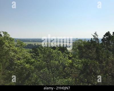 Prairie flameleaf sumac (Rhus lanceolata) Stockfoto