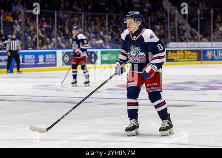 Rochester, New York, USA. November 2024. Hartford Wolf Pack Stürmer Adam Sykora (10) skatet in der ersten Periode in einem Spiel gegen die Rochester Americans. Die Rochester Americans veranstalteten das Hartford Wolf Pack in einem Spiel der American Hockey League in der Blue Cross Arena in Rochester, New York. (Jonathan Tenca/CSM) (Bild: © Jonathan Tenca/Cal Sport Media). Quelle: csm/Alamy Live News Stockfoto