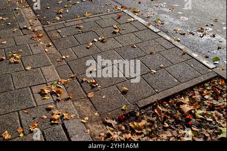 Braune Herbstblätter, die auf einem gepflasterten Gebiet mit nassen Fliesen in geradlinigem geometrischem Muster liegen Stockfoto