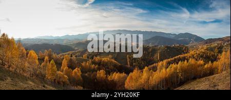 Panoramablick auf das Dorf Magura in Rumänien, in der Nähe der Berge Piatra Craiului, bei Sonnenuntergang. Stockfoto