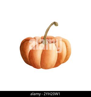 Kürbis, Kürbis. Herbstliches Orangengemüse. Aquarell Hand gezeichnete Blumen Lebensmittel Illustration lokalisiert auf weißem Hintergrund für Herbstdesign, Wohnkultur, Kitc Stockfoto