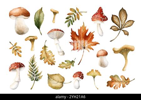 Pilze und Herbstblätter. Herbstblume Set von Boletus, Fliegenpilz, Pfifferlingen, Ahorn, Eiche, rowan, Birke, Farn und Kastanie. Handgezeichnetes Aquarell Stockfoto