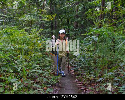 Kinder wandern in den Bergen oder Wäldern mit Rucksäcken in der Regenzeit und Wanderstöcken. Stockfoto