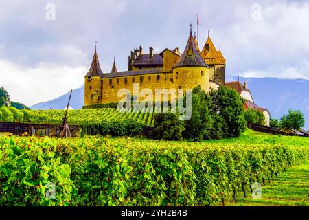 Schloss Aigle (château d'Aigle) in alpiner Landschaft. Schloss Aigle in der Gemeinde Aigle des Kantons Waadt in der Schweiz. Stockfoto