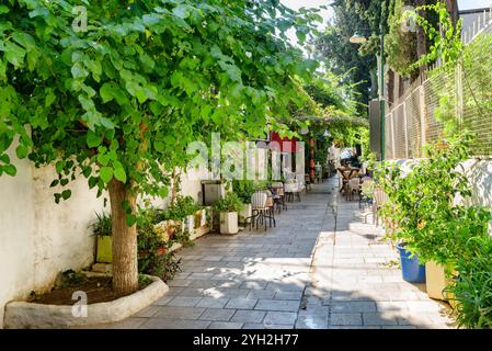 Fantastischer Blick auf eine malerische grüne, enge Straße, Bodrum, Türkei Stockfoto