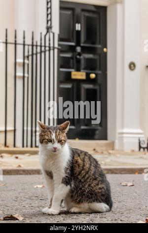 Larry, die Katze vor der Downing Street 11 vor Rachel Reeves First Budget als Kanzler. Quelle: Amanda Rose/Alamy Stockfoto