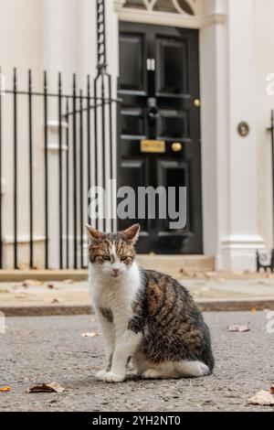 Larry, die Katze vor der Downing Street 11 vor Rachel Reeves First Budget als Kanzler. Quelle: Amanda Rose/Alamy Stockfoto