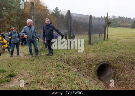 Wendehausen, Deutschland. November 2024. Bodo Ramelow (r, Linkspartei), Thüringens amtierender Ministerpräsident, betrachtet die Agentenschleuse unter dem ehemaligen innerdeutschen Grenzzaun, die hier noch heute existiert, während einer Wanderung auf dem Säulenweg entlang des Grünen Belt. Im Freistaat finden Gedenkveranstaltungen zum 35. Jahrestag des Mauerfalls statt. Quelle: Michael Reichel/dpa/Alamy Live News Stockfoto