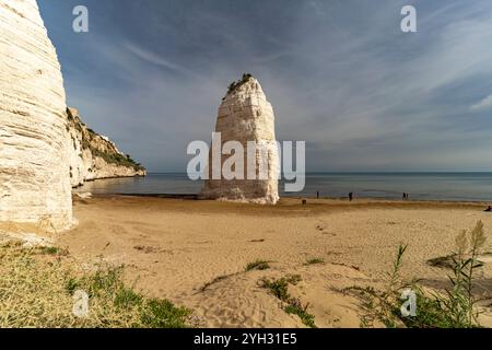 Felsen Pizzomunno am Strand Spiaggia di Castello in Vieste, Gargano, Apulien, Italien, Europa | Monolite Pizzomunno am Strand Spiaggia di Castello in Stockfoto