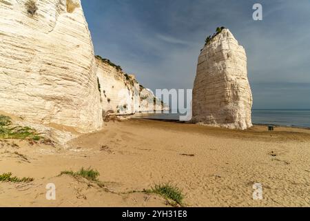 Felsen Pizzomunno am Strand Spiaggia di Castello in Vieste, Gargano, Apulien, Italien, Europa | Monolite Pizzomunno am Strand Spiaggia di Castello in Stockfoto