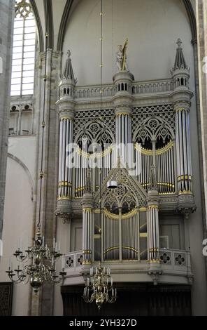 St. Martin's Cathedral. Pfeifenorgel, ca. 1831. Utrecht, Niederlande. Stockfoto