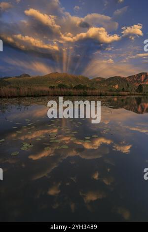 Berge im See, bewölkte Stimmung, Abendlicht, Kochler Berge, Loisach-Kochelsee Moor, Alpenvorland, Bayern, Deutschland, Europa Stockfoto