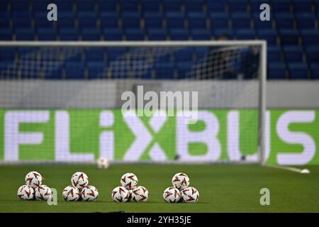 Adidas Derbystar Match Bälle liegen auf Gras vor der Umrandung FLIXBUS, Logo, Europa League, PreZero Arena, Sinsheim, Baden-Württemberg Stockfoto