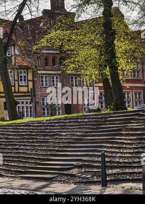 Historische Altstadt mit Kopfsteinpflasterstraßen und blühenden Bäumen, lüneburg, deutschland Stockfoto