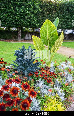 Blumen und Pflanzen in einem Garten auf grünem Gras vor Bäumen Stockfoto