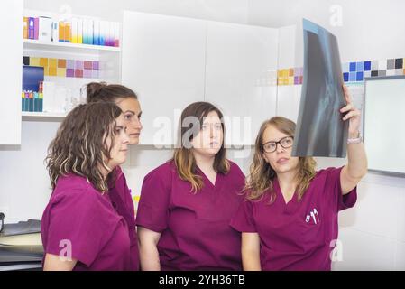 Tierärztliche team Untersuchung eines Hundes x-ray Stockfoto