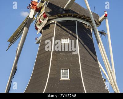 Nahaufnahme der Flügel und des oberen Teils einer Windmühle bei sonnigem Wetter, winterwijk, gelderland, niederlande Stockfoto