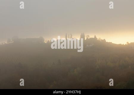 Morgensonne über Hügeln und Weinbergen bricht durch den Frühherbstnebel in der Nähe von Kitzeck, Sausal, Steiermark Stockfoto