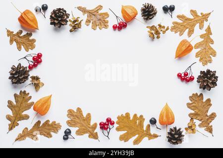 Herbstblümchen Hintergrund Eiche Blätter Zapfen Blumen Beeren im Rahmen auf weißem Hintergrund Kopierbereich Stockfoto