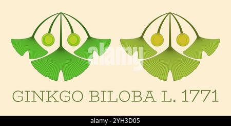 Satz von Vektordarstellungen von Ginkgo biloba-Blättern und -Früchten nach der heiligen Geometrie-Methode. Stock Vektor