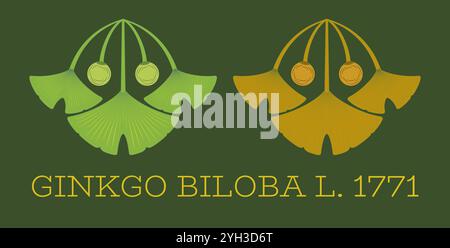 Satz von Vektordarstellungen von Ginkgo biloba-Blättern und -Früchten nach der heiligen Geometrie-Methode. Stock Vektor