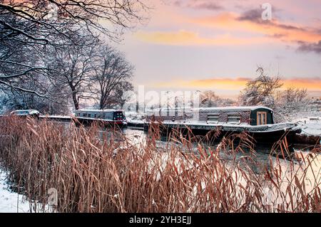 River Wey Winter schneebedeckte Schmalboote, Sonnenaufgang über Schilf mit typischen traditionellen Schmalbooten, die unter dem jüngsten Frost- und Schneefall in Surrey UK verankert sind Stockfoto