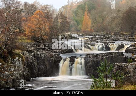 Low Force and the River Tees an einem nebeligen Herbstmorgen in Bowlees, Teesdale, County Durham, Großbritannien Stockfoto