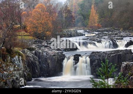 Low Force and the River Tees an einem nebeligen Herbstmorgen in Bowlees, Teesdale, County Durham, Großbritannien Stockfoto