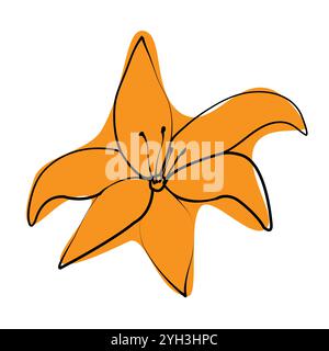 Umrisszeichnung einer orangefarbenen Lilie im minimalistischen Stil mit Farbflecken; einfache Modellhandzeichnung; Clipart isoliert auf weißem Hintergrund Stock Vektor