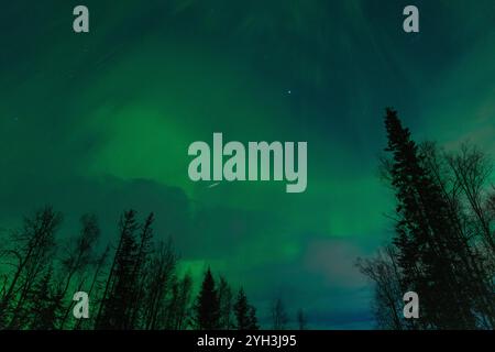 Nordlichter Aurora Borealis erleuchten den Himmel in Alaska, United States Eagle River, Alaska, Vereinigte Staaten - 9. November 2024: Die Aurora Borealis, bekannt als Alaskas Nordlichter, präsentierten heute einen faszinierenden Tanz des Lichts am Himmel. Ausgelöst durch die jüngsten Sonneneruptionen hat diese aurora-Show ein einzigartiges visuelles Erlebnis am dunklen und klaren Himmel Alaskas geschaffen. Die Nordlichter setzen sich während der langen Winternächte fort und schaffen einen unvergesslichen Anblick für Naturliebhaber und Fotografen in der Region. Copyright: XHASANxAKBASx Stockfoto