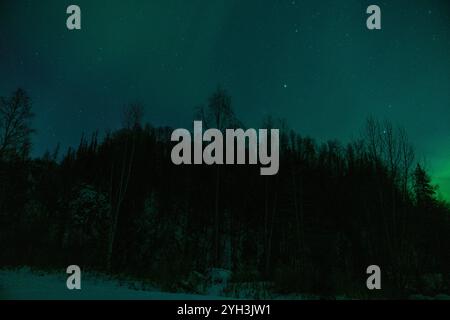 Nordlichter Aurora Borealis erleuchten den Himmel in Alaska, United States Eagle River, Alaska, Vereinigte Staaten - 9. November 2024: Die Aurora Borealis, bekannt als Alaskas Nordlichter, präsentierten heute einen faszinierenden Tanz des Lichts am Himmel. Ausgelöst durch die jüngsten Sonneneruptionen hat diese aurora-Show ein einzigartiges visuelles Erlebnis am dunklen und klaren Himmel Alaskas geschaffen. Die Nordlichter setzen sich während der langen Winternächte fort und schaffen einen unvergesslichen Anblick für Naturliebhaber und Fotografen in der Region. Copyright: XHASANxAKBASx Stockfoto