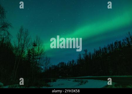 Nordlichter Aurora Borealis erleuchten den Himmel in Alaska, United States Eagle River, Alaska, Vereinigte Staaten - 9. November 2024: Die Aurora Borealis, bekannt als Alaskas Nordlichter, präsentierten heute einen faszinierenden Tanz des Lichts am Himmel. Ausgelöst durch die jüngsten Sonneneruptionen hat diese aurora-Show ein einzigartiges visuelles Erlebnis am dunklen und klaren Himmel Alaskas geschaffen. Die Nordlichter setzen sich während der langen Winternächte fort und schaffen einen unvergesslichen Anblick für Naturliebhaber und Fotografen in der Region. Copyright: XHASANxAKBASx Stockfoto