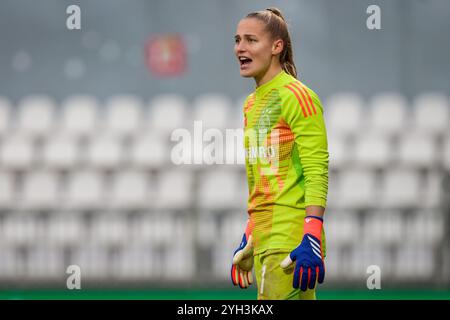 Amsterdam, Niederlande. November 2024. AMSTERDAM, 09.11.2024, de Toekomst, Azerion Eredivisie vrouwen, Ajax - Twente (Frauen), Saison 2024/2025, während des Spiels Ajax - Twente (Frauen), Ajax Torhüterin Regina van Eijk Credit: Pro Shots/Alamy Live News Stockfoto