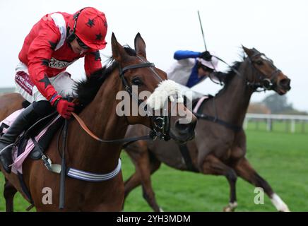 KORRIGIERTES Soul-Symbol (links), das Thomas Bellamy während der Boodles Rising Stars Novices' Chase (Grade 2) (GBB Race) (Class 1) auf der Wincanton Racecourse gefahren hat. Bilddatum: Samstag, 9. November 2024. Stockfoto