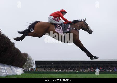 Die KORRIGIERTE Soul-Ikone wurde von Thomas Bellamy während der Boodles Rising Stars Novices' Chase (Grade 2) (GBB Race) (Class 1) auf der Wincanton Racecourse gefahren. Bilddatum: Samstag, 9. November 2024. Stockfoto