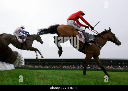 Boombawn (links), geritten von Harry Skelton, gewann Boodles Rising Stars Novices' Chase (Klasse 2) (GBB Race) (Klasse 1) auf der Wincanton Racecourse. Bilddatum: Samstag, 9. November 2024. Stockfoto