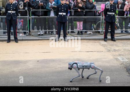 London, Großbritannien. 9. November 2024. Robotic Dog in der Lord Mayor's Show, der ältesten und großartigsten Bürgerprozession der Welt, die auf das frühe 13. Jahrhundert zurückgeht, als König John der Stadt London gewährte, einen eigenen Bürgermeister zu ernennen. In diesem Jahr ist der neu gewählte Stadtrat Alastair King DL der 696. Lord Mayor of the City of London und macht sich während der Lord Mayor’s Show von der Stadt nach Westminster auf den Weg, um der Krone Loyalität zu schwören. Quelle: Stephen Chung / Alamy Live News Stockfoto