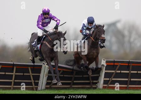 Rubaud (links) wurde von Harry Cobden auf dem Weg zum Sieg der BetMGM Elite Hürde (Klasse 2) (GBB Race) (Klasse 1) auf der Wincanton Racecourse gefahren. Bilddatum: Samstag, 9. November 2024. Stockfoto