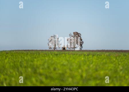 Rottweil, Deutschland. November 2024. Die Kapelle „Maria im Felde“ ist vor einem blauen Himmel zu sehen. Quelle: Silas Stein/dpa/Alamy Live News Stockfoto